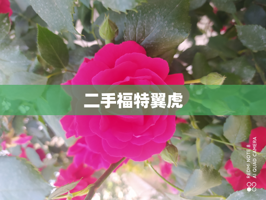 二手福特翼虎