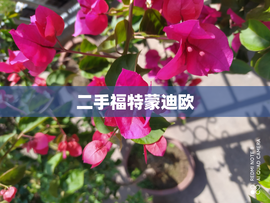 二手福特蒙迪欧