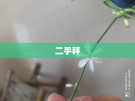 二手秤