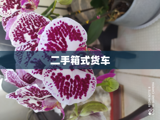 二手箱式货车