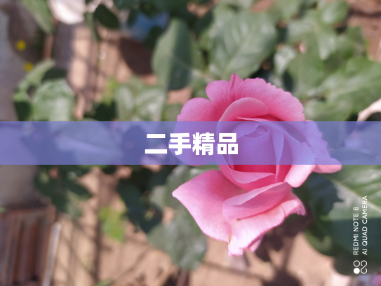 二手精品