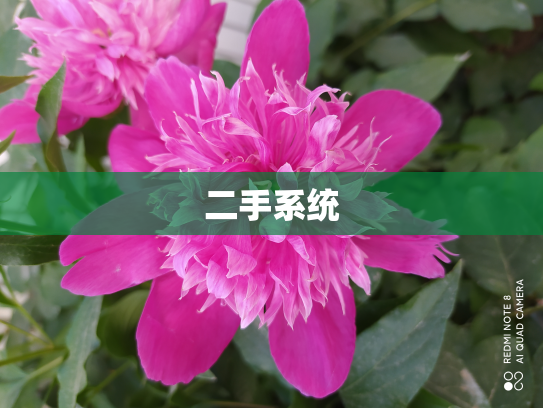 二手系统