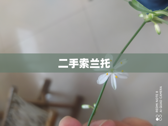 二手索兰托