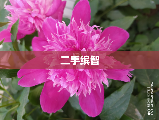 二手缤智