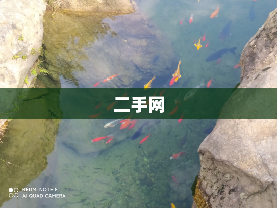 二手网