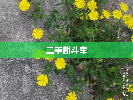 二手翻斗车