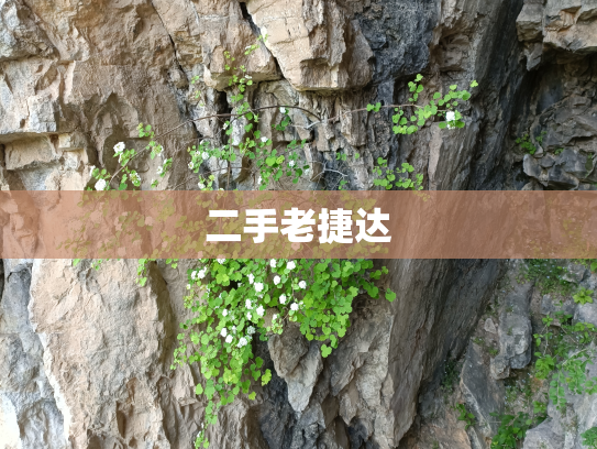 二手老捷达