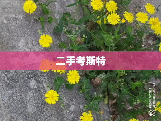 二手考斯特