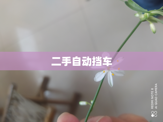 二手自动挡车