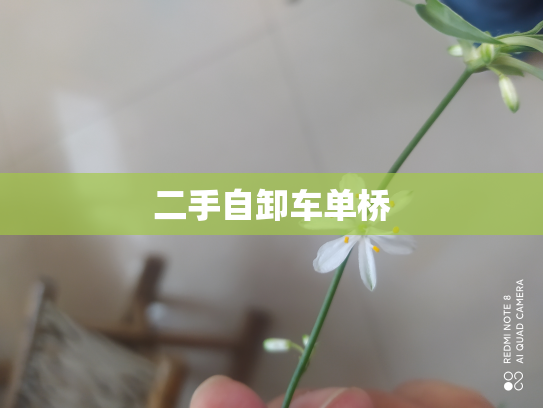 二手自卸车单桥