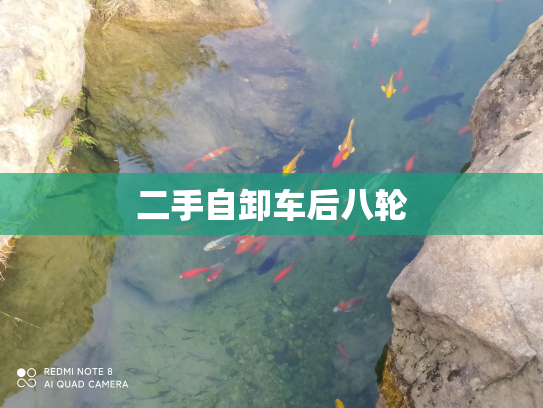 二手自卸车后八轮