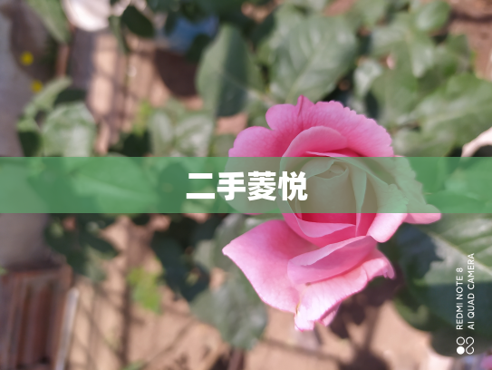 二手菱悦
