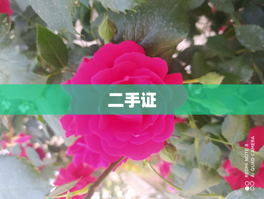二手证
