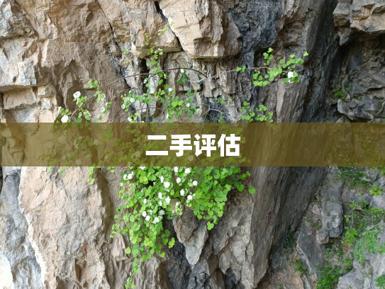 二手评估