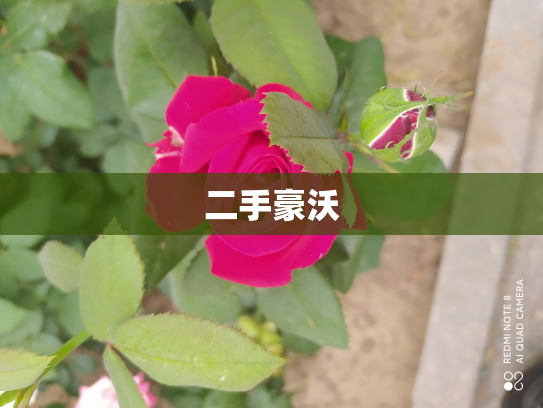 二手豪沃