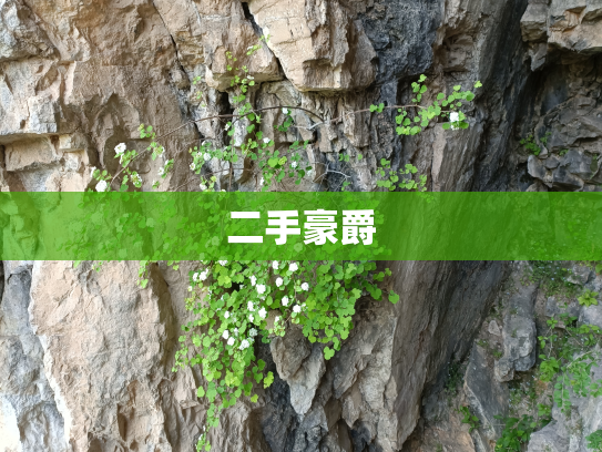 二手豪爵