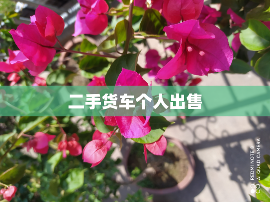 二手货车个人出售