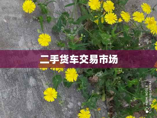 二手货车交易市场