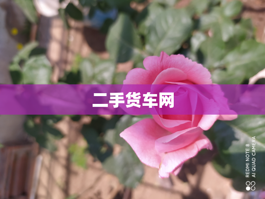 二手货车网