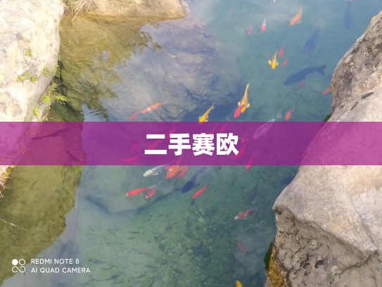 二手赛欧