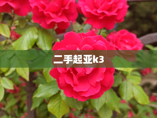 二手起亚k3