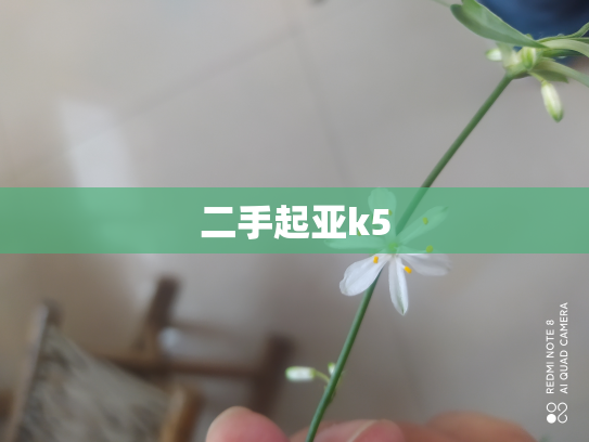 二手起亚k5
