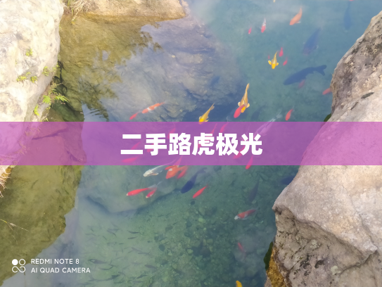 二手路虎极光