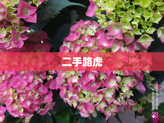 二手路虎