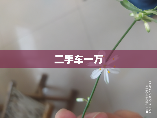 二手车一万
