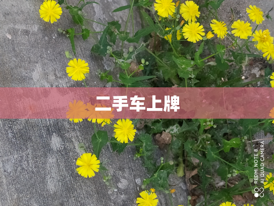 二手车上牌