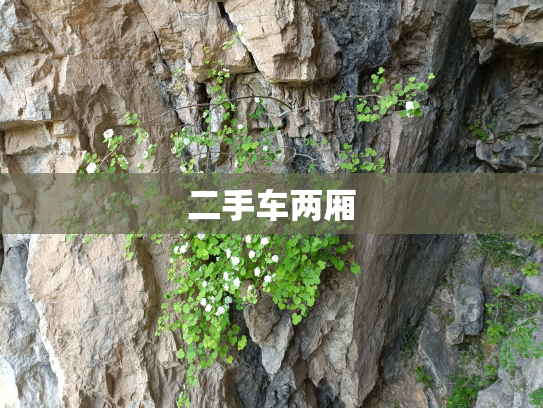 二手车两厢