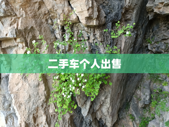 二手车个人出售