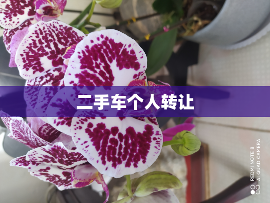 二手车个人转让