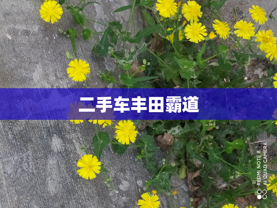 二手车丰田霸道