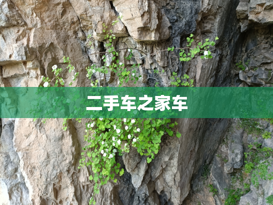 二手车之家车