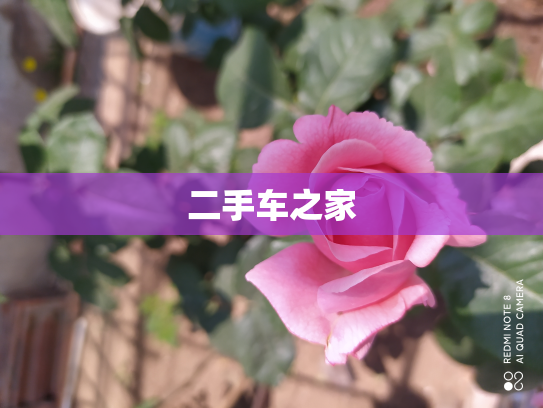 二手车之家
