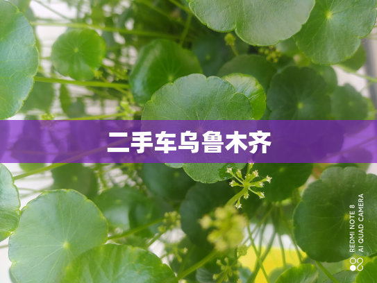 二手车乌鲁木齐