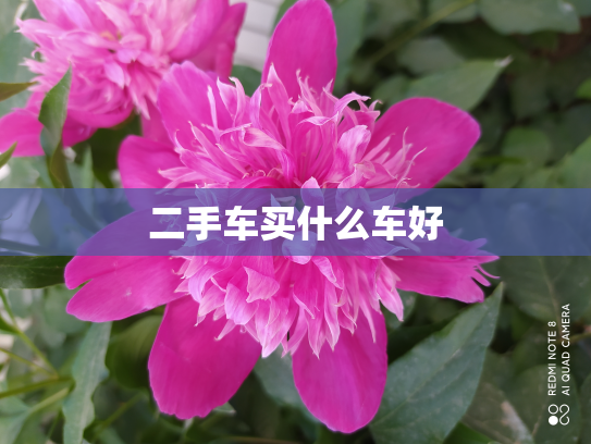 二手车买什么车好