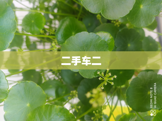 二手车二