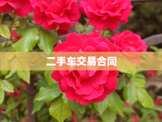 二手车交易合同