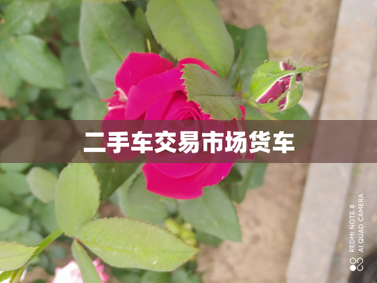 二手车交易市场货车