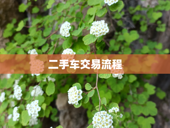 二手车交易流程