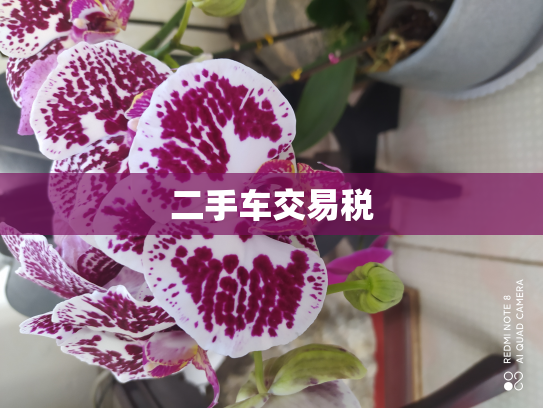二手车交易税