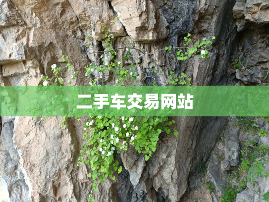 二手车交易网站
