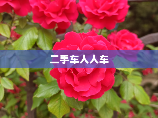二手车人人车