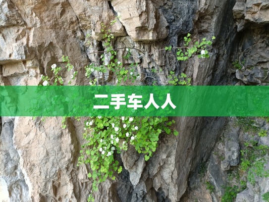 二手车人人