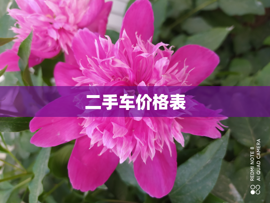 二手车价格表