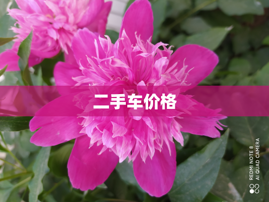 二手车价格