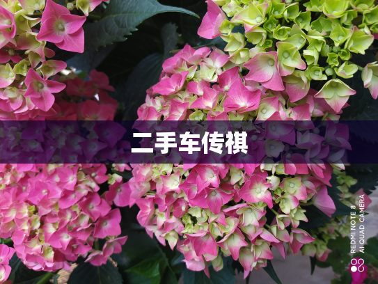 二手车传祺