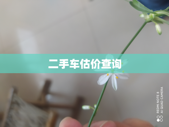 二手车估价查询